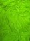 1 Yard Low Stretch Neon Green Polyester Fabric For Aerial Silks Hammocks Backdrops Crafts 108″-120″ Wide